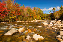 River through fall foliage, Swift River, New Hampshire, USA by Sara Winter