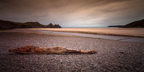 Driftwood at Three Cliffs Bay von Leighton Collins