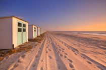 Row of beach huts at sunset, Texel island, The Netherlands by Sara Winter