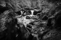 Swiss Falls-monochrome by David Hare