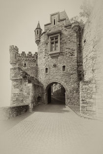 Schloss Dhaun-Haupteingang 8 von Erhard Hess