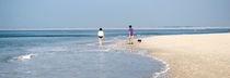 Walking on the beach by Diana C. Bernardi