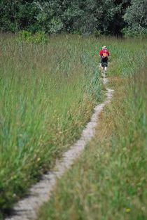 die Einsamkeit des Wanderers... 1 by loewenherz-artwork