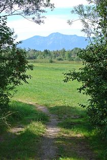 Idylle im Alpenvorland... von loewenherz-artwork