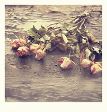 in the rain - one von chrisphoto