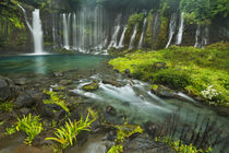 Shiraito Falls near Mount Fuji, Japan von Sara Winter