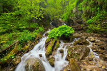Waterfall in a lush gorge in Slovenský Raj, Slovakia von Sara Winter