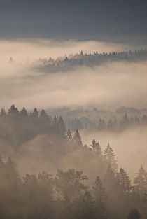 Morgennebel über Wallgau... 10 von loewenherz-artwork