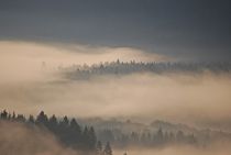 Morgennebel über Wallgau... 9 by loewenherz-artwork