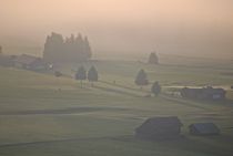 Morgennebel über Wallgau... 5 von loewenherz-artwork