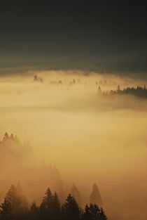 Morgennebel über Wallgau... 4 von loewenherz-artwork