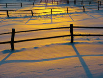 Pferdekoppel im Winter von brava64