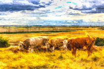 The Friendly Cows Art von David Pyatt