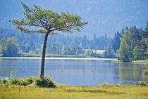 Wildsee bei Seefeld... by loewenherz-artwork