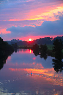 Der Schwan bei Sonnenaufgang by Bernhard Kaiser