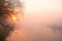 Sonnenaufgang im Nebel 3 von Bernhard Kaiser