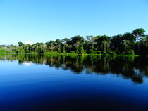 Landscape in the Amazon Jungle by Juan Carlos Camelo