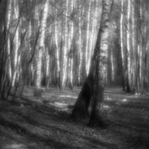 Landscape with birch trees by Alexander Kurlovich