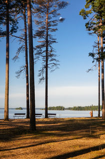 campers favorite morning by Thomas Matzl