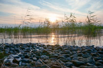 Quiet Lake  von Thomas Matzl