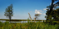 Schwimmendes Moor von Rolf Müller