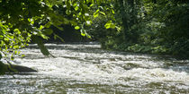 Wilder Fluss von Rolf Müller