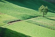 Landschaft zum Träumen... 1 von loewenherz-artwork