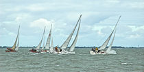 Segelregatta von Rolf Müller