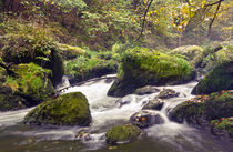 WasserWelten by drachenkind