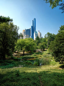 Central Park NY by Daniel Heine