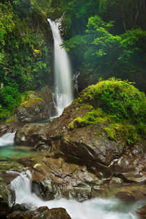 Kawazu waterfall trail, Izu Peninsula, Japan von Sara Winter