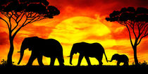 Elefanten im Sonnenuntergang von darlya