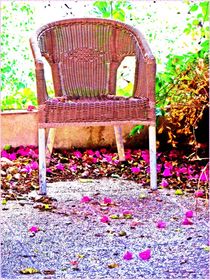 ~~ Wicker Chair ~~ by Sandra  Vollmann