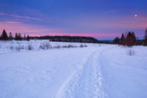 The Hautes Fagnes in Belgium in winter at sunrise von Sara Winter