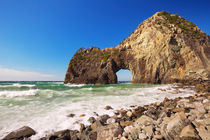 Natural arch on the rocky coastline of Izu Peninsula, Japan von Sara Winter