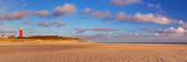 Lighthouse on Texel island in The Netherlands in morning light by Sara Winter