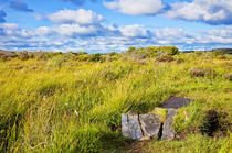 Feuchtgebiet und Küstenlandschaft by ullrichg