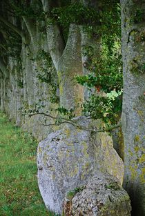 die Weisheit der Steine... von loewenherz-artwork