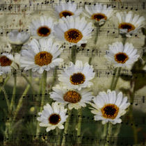 Sommermelodie - Melodie of Summer von Chris Berger