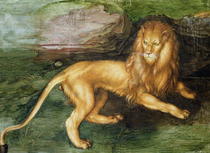 Lion  von Albrecht Dürer