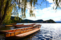 Boats in the bay under the willow by Wolfgang Pfensig