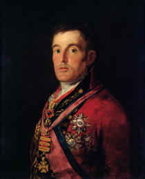 The Duke of Wellington  by Francisco Jose de Goya y Lucientes