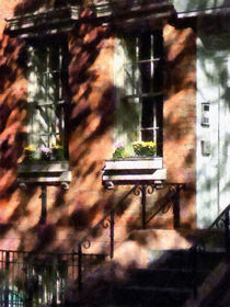 Window Boxes Greenwich Village von Susan Savad