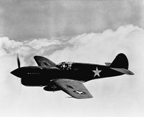 P-40 Warhawk by warishellstore