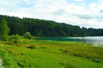 Grünes Ufer am Walchensee by Sabine Radtke