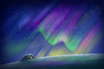 Polar lights von Diana Gavrylova