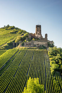 Burgruine Fürstenberg 90 von Erhard Hess