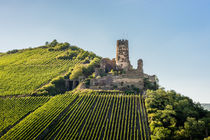 Burgruine Fürstenberg 79 by Erhard Hess