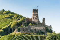 Burgruine Fürstenberg 70 von Erhard Hess