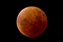 Blutmond - Supermond - blood moon von monarch